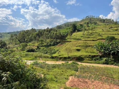 Kibiaro bridge build site