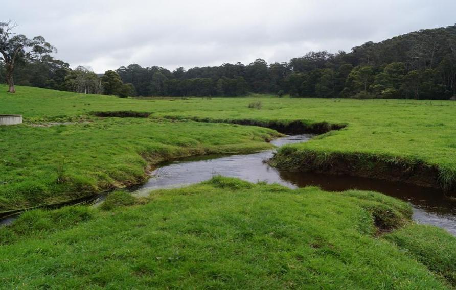 Lush, green field with small river running through it