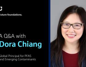 Dora Chiang Q&amp;A banner