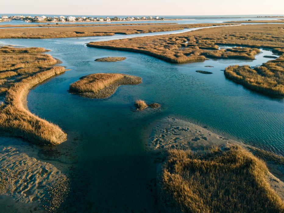 An aerial view of the flowing water in grasslands in bright sunlight in Murrells Inlet, Georgetown county, South Carolina, United States