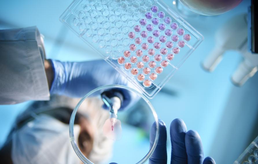 A scientist using a pipette with a microtiter plate and a petri dish