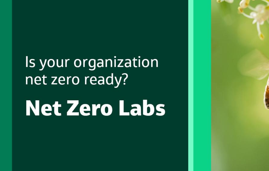 Is your organization net zero ready? Net Zero Labs