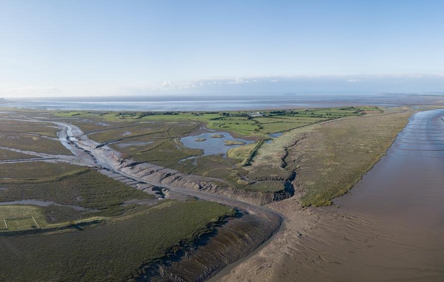 Saltmarshes