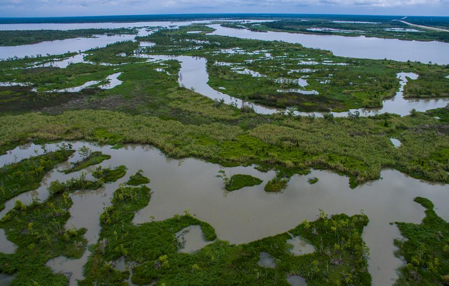 Louisiana bayou