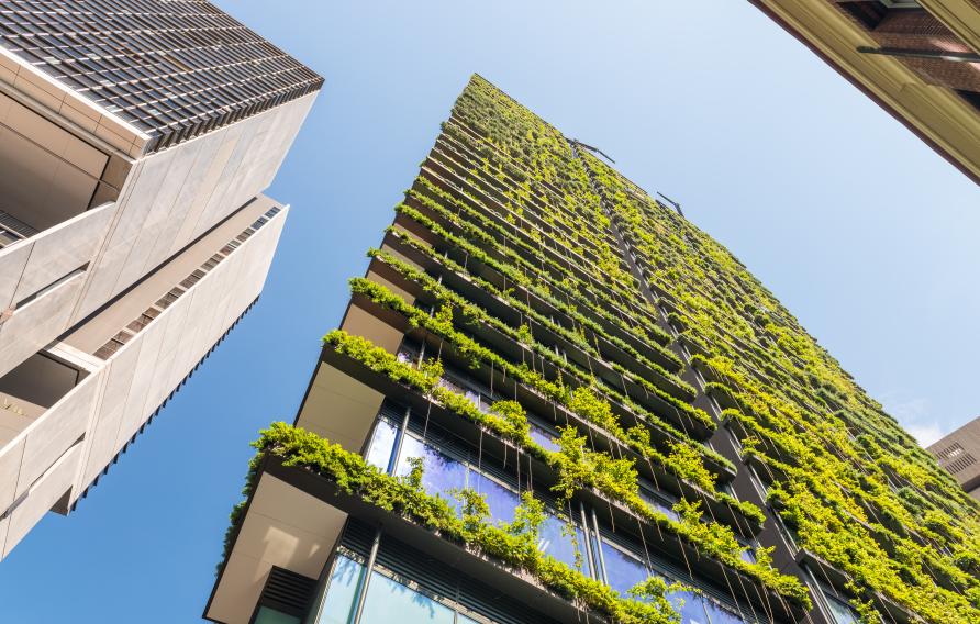 Skyscraper with green vegetation along balconies