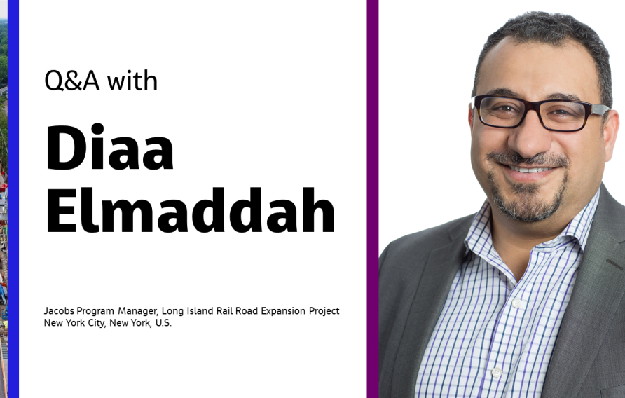 Q&amp;A with Diaa Elmaddah