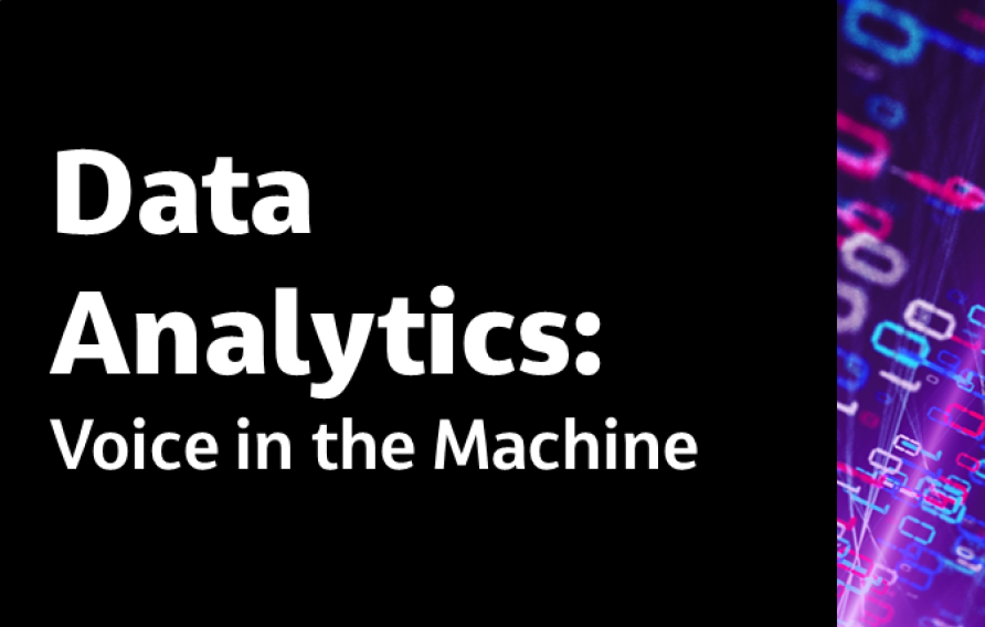 Data Analytics: Voice in the Machine