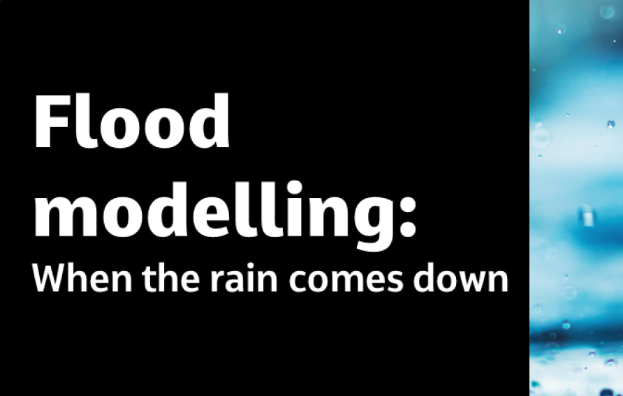 Flood modelling: When the rain comes down Roger Falconer Richard Crowder