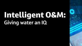 Intelligent O&amp;M: Giving water an IQ Dr. Jennifer Baldwin Joshua Registe