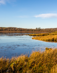 Saltmarsh Carbon Code