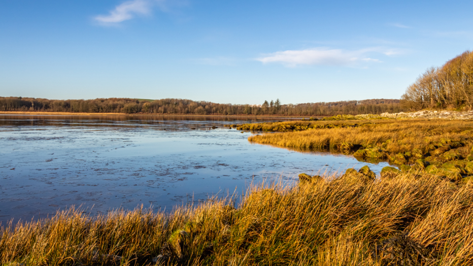 Saltmarsh Carbon Code