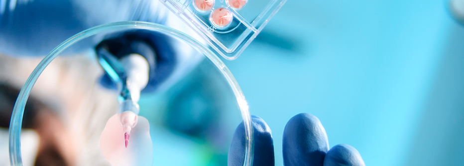 A scientist using a pipette with a microtiter plate and a petri dish