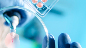 A scientist using a pipette with a microtiter plate and a petri dish